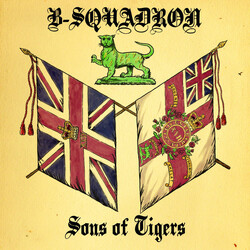 B Squadron Sons Of Tigers