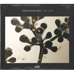 Tom Arthurs Trio One Year