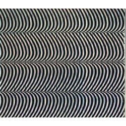 Merzbow Pulse Demon vinyl LP