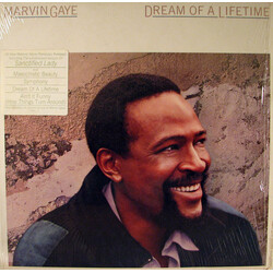 Marvin Gaye Dream Of A Lifetime
