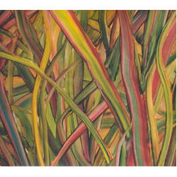 Gengahr Where Wildness Grows