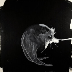 Sigur Rós Route One