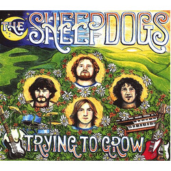 The Sheepdogs Trying To Grow