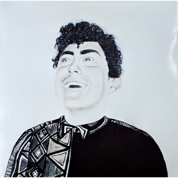 Hobo Johnson The Rise Of Hobo Johnson
