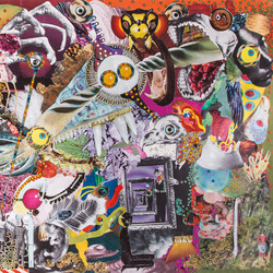 Giraffes? Giraffes! Memory Lame Vinyl LP