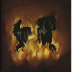 The Besnard Lakes The Besnard Lakes Are The Dark Horse