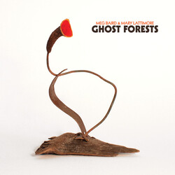 Meg Baird / Mary Lattimore Ghost Forests