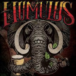 Humulus Humulus