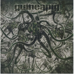 Guineapig (2) Bacteria