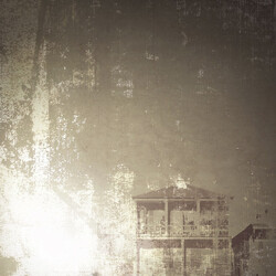 Belong October Language
