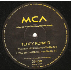 Terry Ronald What The Child Needs