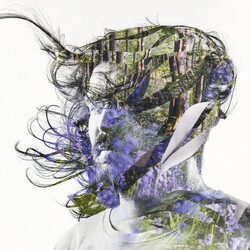 Bibio Ribbons