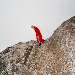 Cate Le Bon Reward