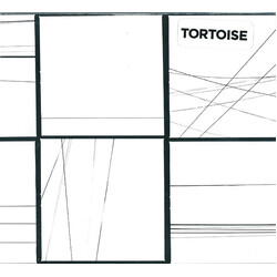 Tortoise Beacons Of Ancestorship