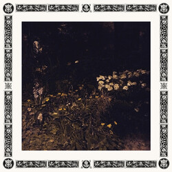 Sarah Davachi Pale Bloom