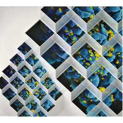 Bluetech Liquid Geometries In Dub