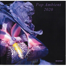 Various Pop Ambient 2020