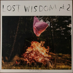 Mount Eerie / Julie Doiron Lost Wisdom Pt. 2