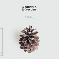 Gabriel & Dresden Remedy Vinyl LP