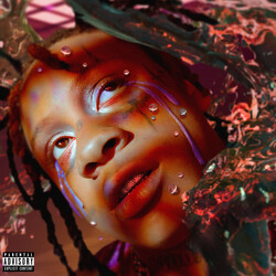 Trippie Redd A Love Letter To You 4 Vinyl 2 LP