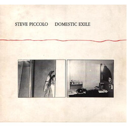 Steve Piccolo Domestic Exile