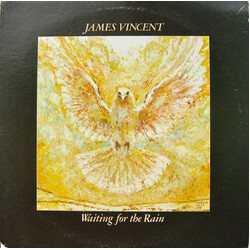 James Vincent Waiting For The Rain
