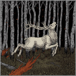 Olhava Ladoga (2Lp) Vinyl