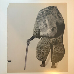 Golden Retriever (2) / Chuck Johnson Rain Shadow