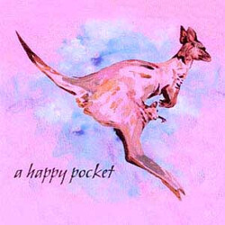 The Trash Can Sinatras A Happy Pocket
