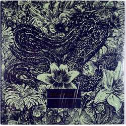 Blacksage Shivers