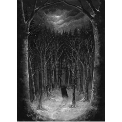 Paysage D'Hiver Im Wald