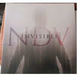 Nick D'Virgilio Invisible