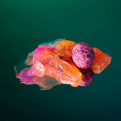 Various Still Life