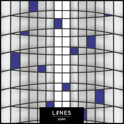 LIINES Sorry Vinyl