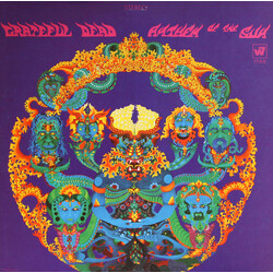 The Grateful Dead Anthem Of The Sun