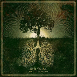 Botanist Photosynthesis