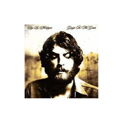 Ray Lamontagne Gossip In The Grain