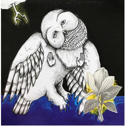 Songs: Ohia The Magnolia Electric Co