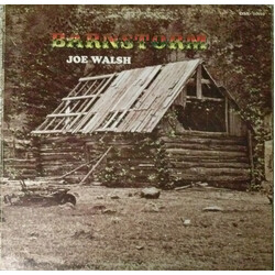 Joe Walsh Barnstorm