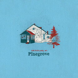 Pinegrove Amperland, NY Vinyl 2 LP