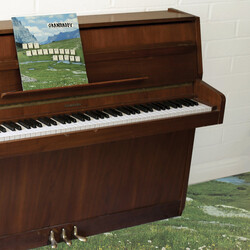 Grandaddy The Sophtware Slump .​.​.​.​. On A Wooden Piano