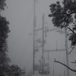 Photay On Hold Vinyl LP