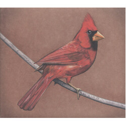 Alexisonfire Old Crows / Young Cardinals