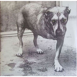 Alice In Chains Alice In Chains