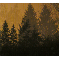 If These Trees Could Talk Above The Earth, Below The Sky