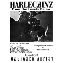 Harleckinz From The Levels Below VINYL LP