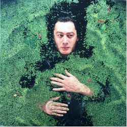 Alain Bashung Fantaisie Militaire