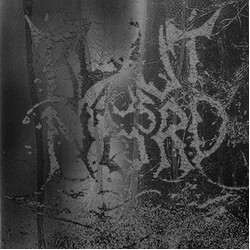Blut Aus Nord The Work Which Transforms God