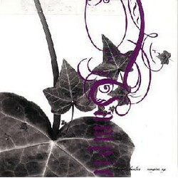 Shadow Huntaz Vampire