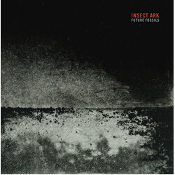 Insect Ark Future Fossils